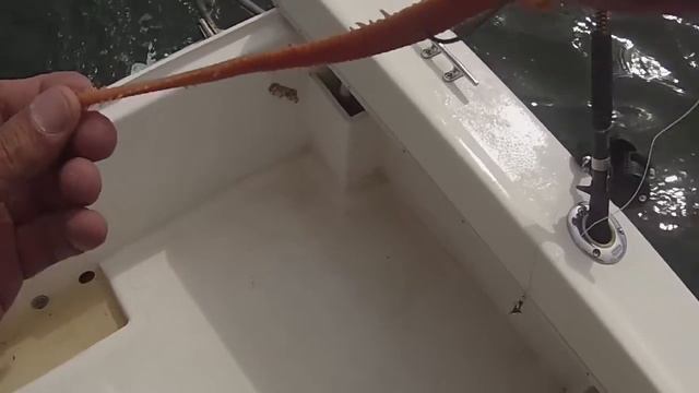 Weak Fish смотреть онлайн