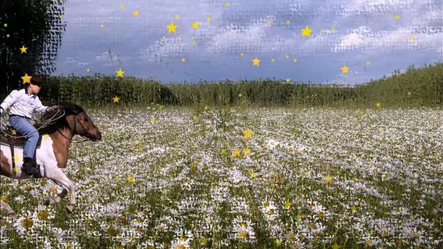 La Paloma - Eternal Melody of Love смотреть онлайн