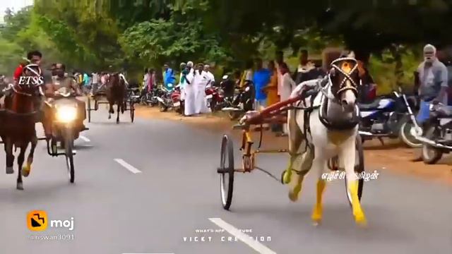 horce race, horce race tamilnadu, смотреть онлайн
