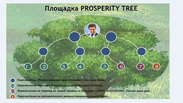 КРАУДФАНДИНГ Tailuns подробный разбор маркетинга смотреть онлайн