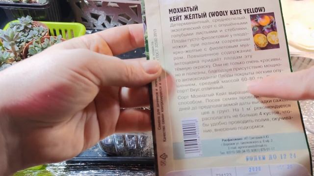 Помидоры-ПОДСНЕЖНИКИ. Первые всходы и последний урожай. Будем сеять балконные сорта до конца января смотреть онлайн