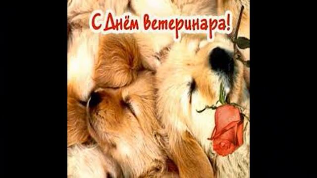 С Днем Ветеринара! Красивое Поздравление День Ветеринара  Музыкальная Открытка.