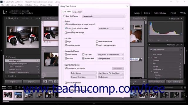 Lightroom Classic CC Tutorial Showing Flags, Ratings, and Labels Adobe Training смотреть онлайн