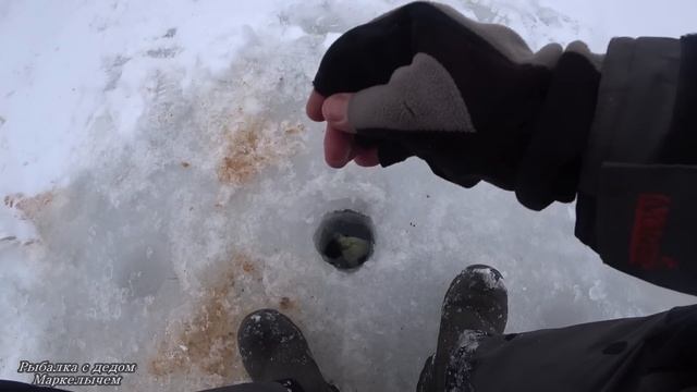 КРУПНЯК РВЁТ ЛЕСКУ. ПРОЩАЙ МОРМЫШКА. Рыбалка на Истре. смотреть онлайн