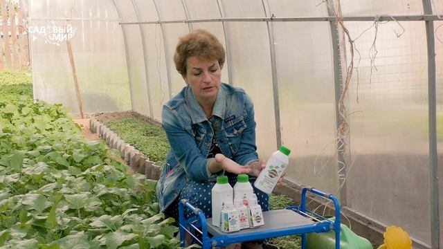 Обработка почвы осенью – делаем правильно смотреть онлайн