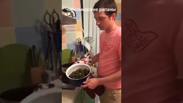 Котики Всегда Веселые