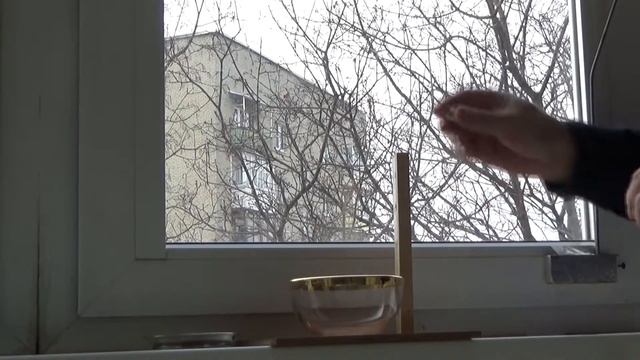 Супер лазоревка Глаша - снайпер. смотреть онлайн