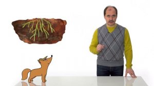 19. Строение растений. Часть1