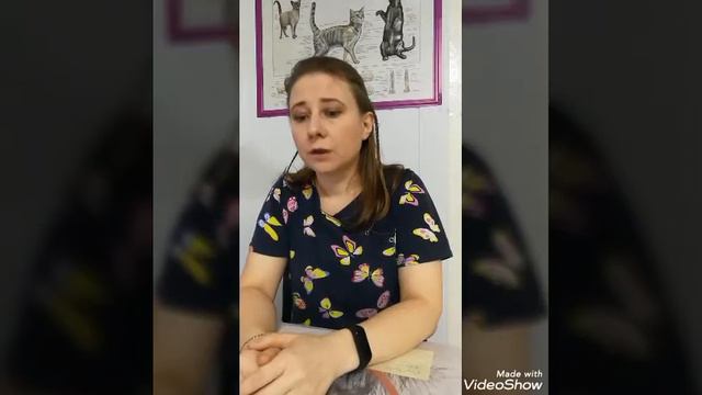 Частые ошибки владельцев. смотреть онлайн