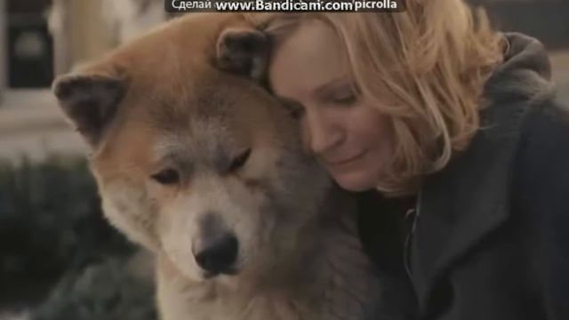 Хатико - самая трогательная истоия ™