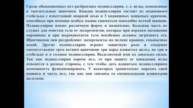 Животные (Часть 76) - Класс Морские ежи смотреть онлайн