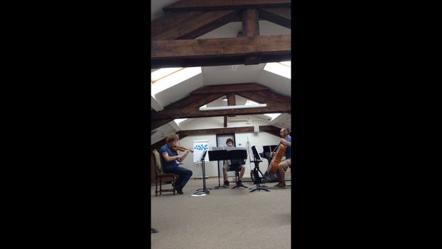 Matti Murto - Divertimento (Violin, Cello and Accordion) смотреть онлайн