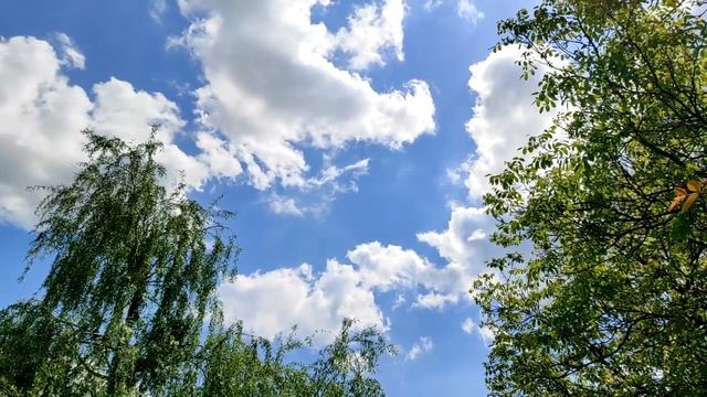 Никому не говори! Почему счастье любит тишину. смотреть онлайн