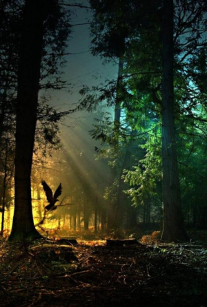 Тайны сибирских сопок. Часть 2.