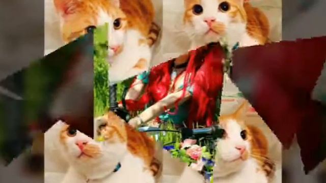 Анастасия Шпагина (слайд-шоу) смотреть онлайн