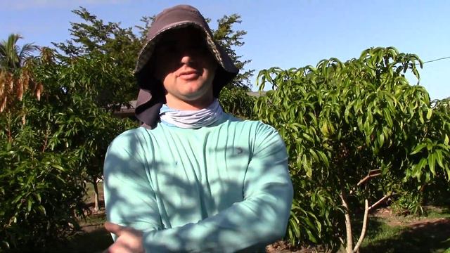 Amazing Back Yard Mango Farm смотреть онлайн