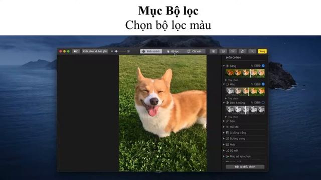 Cách chỉnh sửa ảnh trên máy Mac của bạn смотреть онлайн