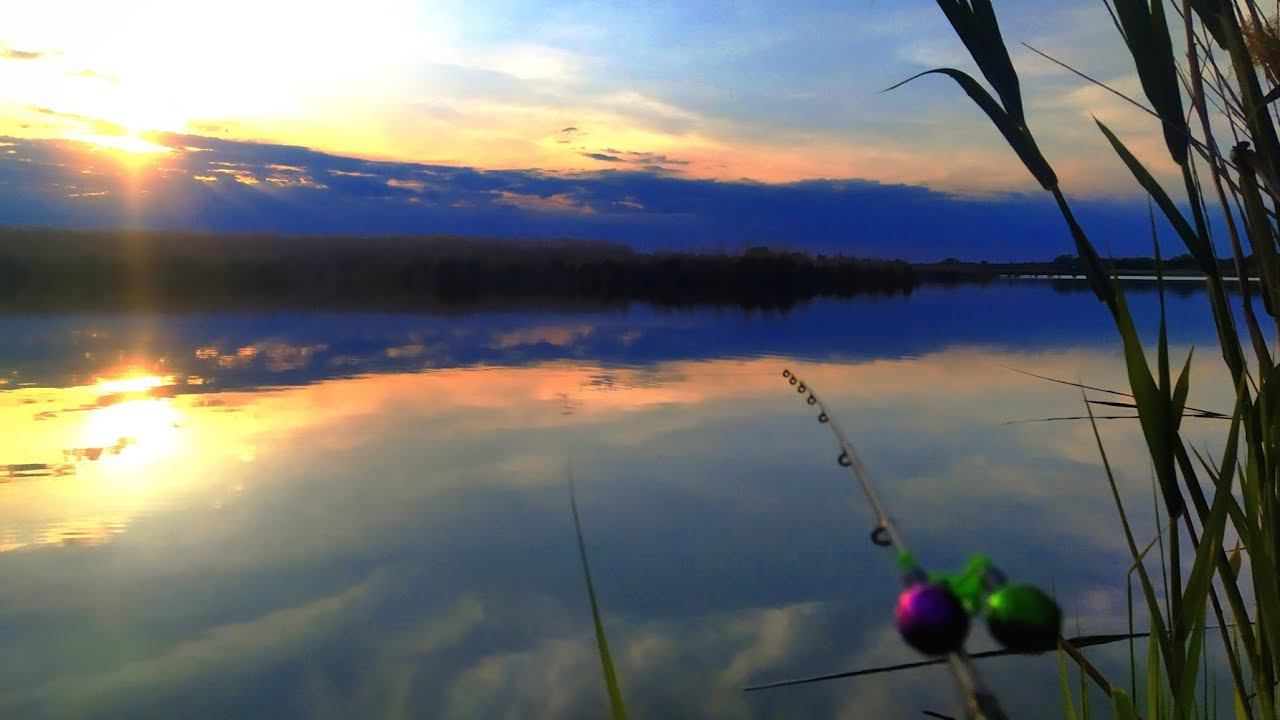 КИЛОГРАМОВЫЕ КАРАСИ РАЗМЕРОМ С САПОГ ЛУПЯТ НА ФИДЕР! САЗАНЫ КАК ТОРПЕДЫ ! РЫБАЛКА НА ФИДЕР В МАЕ! смотреть онлайн