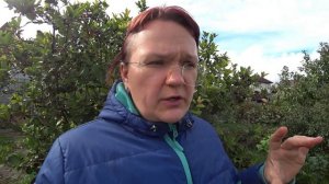 Правила закладки компостной кучи