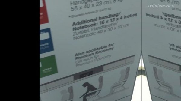 Ручная кладь S7, Aegen, Lufthansa, British Airways, JetAir,Brussel Airlines: нормы и правила провоз