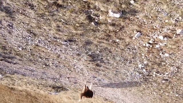 Торгашеский хребет (12.10.2019) смотреть онлайн