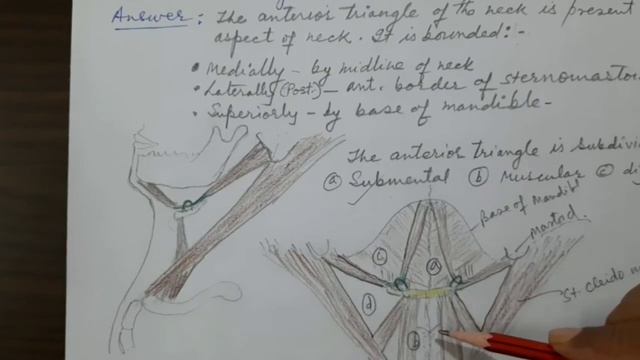 11. Digastric Triangle смотреть онлайн