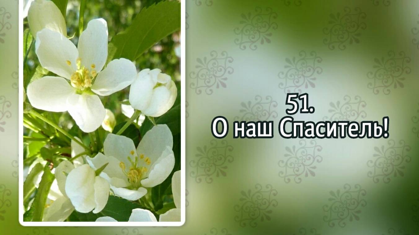 Гимны надежды 51 О наш Спаситель! (-) смотреть онлайн