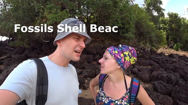 Серия 14. Наш #байк за 150 THB в #Тайланде. Прогулка по пляжу АО НАМАО. Достопримечательности #Краб смотреть онлайн