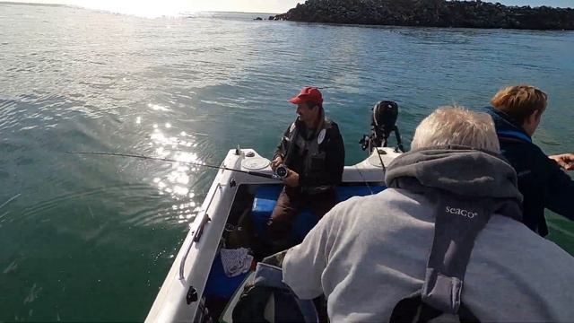 Mackerel Fishing  \ Ловля скумбрии /