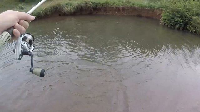 The BEST Trout BAIT of 2020 | Trophy Trout CHALLENGE! смотреть онлайн