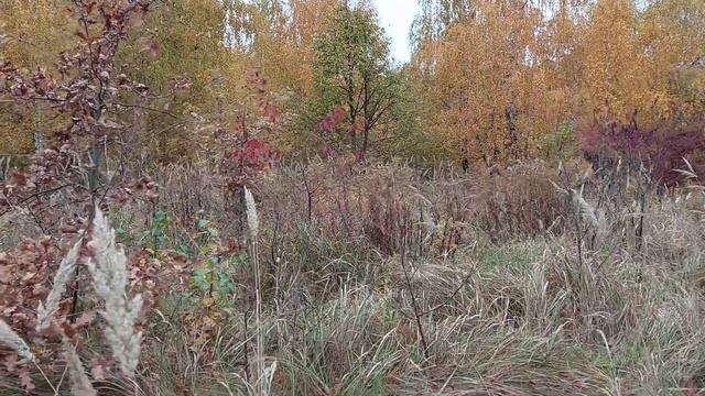 Билет в детство смотреть онлайн