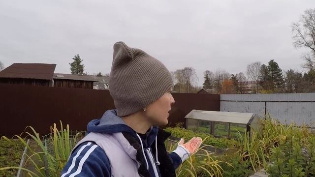 МНОГОЛЕТНИЕ ЦВЕТЫ ОСЕНЬЮ,ОБРЕЗАТЬ ИЛИ НЕТ?! СЕЗОН 2019 смотреть онлайн