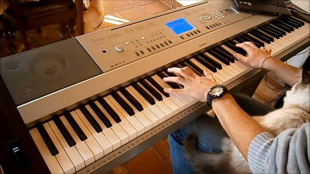 Good time - Owl city & Carly Rae Jepsen - Piano cover (Yamaha DGX 640) смотреть онлайн