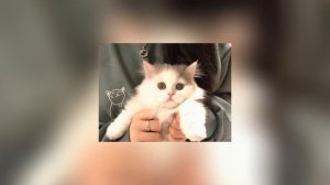 девочка в тренде speed up