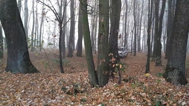 МОСКВИЧ РЕШИЛ СРЕЗАТЬ ЧЕРЕЗ ЛЕС смотреть онлайн