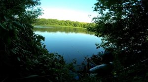 Рыбалка с поплавком на Дону в Липецкой области.