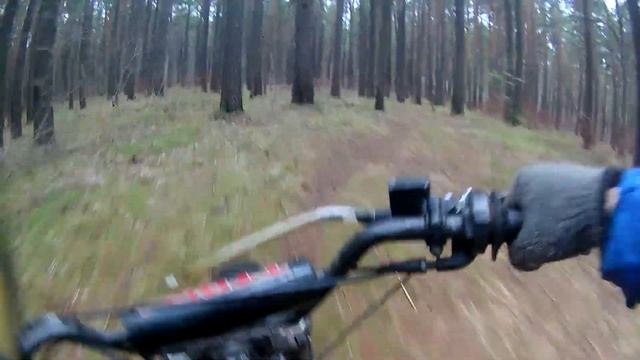 Эндуро по лесу на мопеде I irbis BWS 150 I Едет лучше пит байка I смотреть онлайн