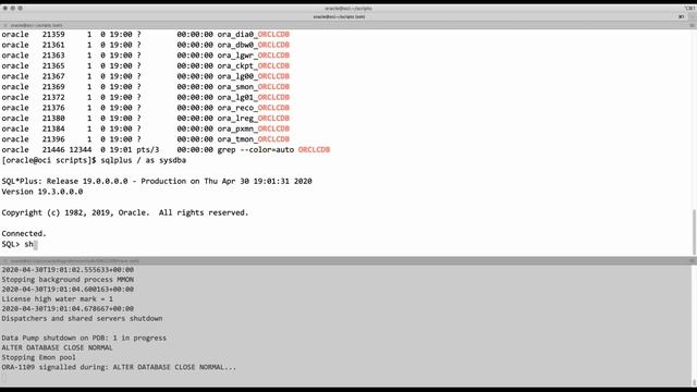 Zombie Database Mystery—a hint and prize increase—now $100! смотреть онлайн