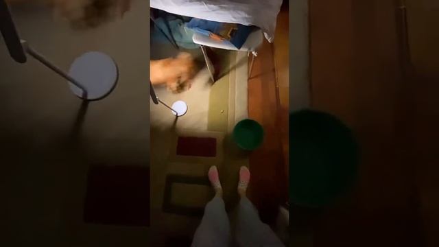 Как построить халабуду. Дети строят ???халабуду. Мы в гостях ❤️?. смотреть онлайн