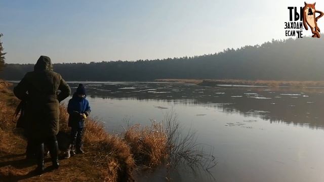 Река Неман. Прогулка. Февраль 2020. смотреть онлайн