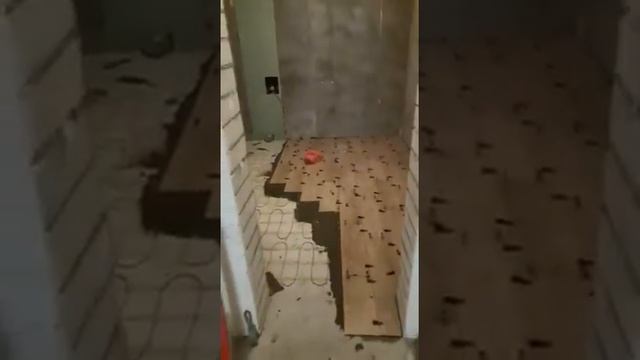 Укладка плитки Ванна Ламинат под дерево ч 1 смотреть онлайн