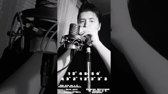 Harlem Nocturne on Diatonic Harmonica смотреть онлайн