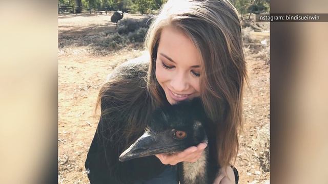 Little-Known Details About Bindi Irwin Revealed смотреть онлайн