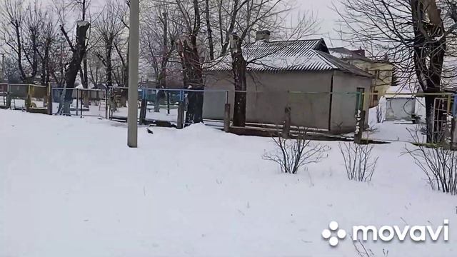 Родинская, школа и частные дома смотреть онлайн