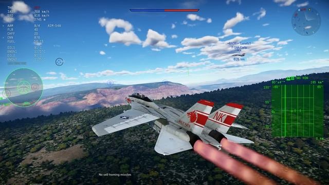War Thunder Is the F-14 12.0 MATERIAL? Or is it fine at 11.7? смотреть онлайн