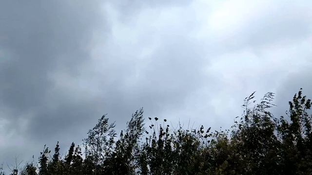 26 сентября-КОРНИЛОВ ДЕНЬ/ЕДА БЕДНЫХ людей/Придется плакать/Приметы смотреть онлайн