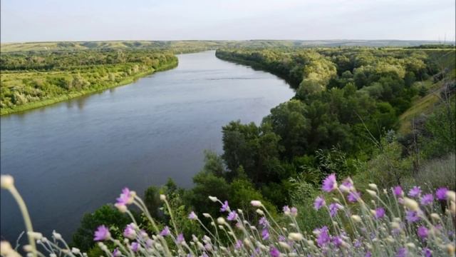 Александра Сергеевича Пушкина «Дон» читает Наталья Медведева смотреть онлайн