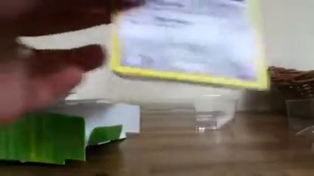 [Unboxing] Pokémon: Raichu Player's Pack (LV.X PULL!!!) [w/ Review] смотреть онлайн