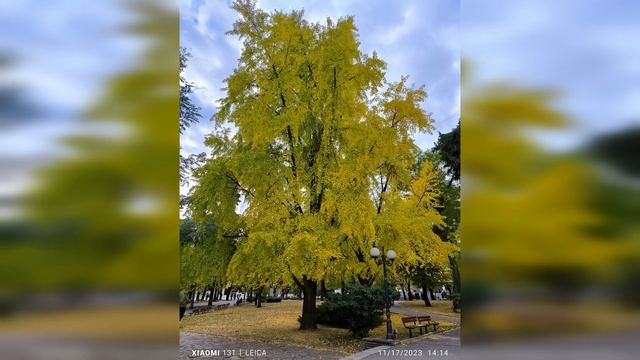 Ultimate Xiaomi 13T Review: A Flagship Experience at a Budget Price смотреть онлайн