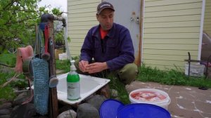 Выгодно ли держать перепелов на мясо. Расходы на содержание перепелов.